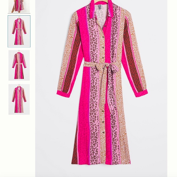 Renela Leopard Animal Cat Striped Boho Peasant Hipster Hippie Art Farm Hip Dress - Picture 3 of 4